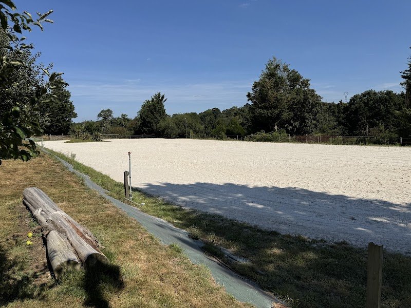 Haras de Sermentot - Écuries de propriétaires - Pension pour chevaux - photo 3