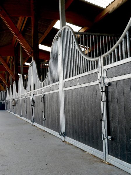 Haras du Lieu Blanc - Ecurie de propriétaires - Pension pour chevaux - Calvados