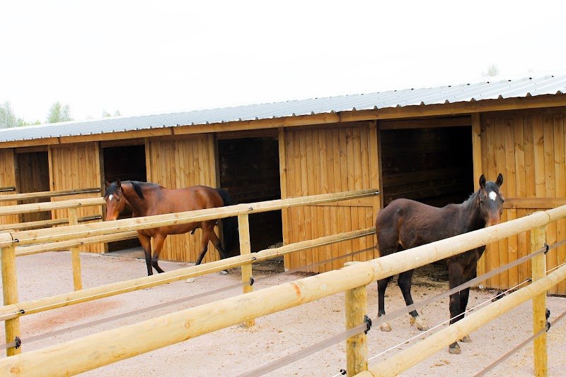 Haras du Lieu Blanc - Ecurie de propriétaires - Pension pour chevaux - Calvados - photo 3