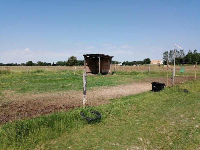 Pension Crins Blanc - photo 2