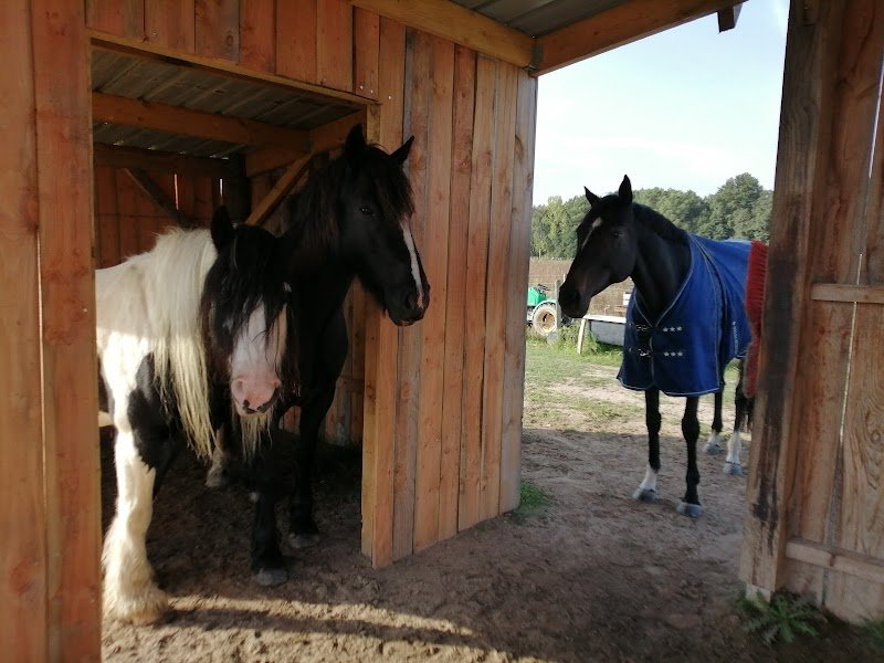 Pension Crins Blanc - photo 3