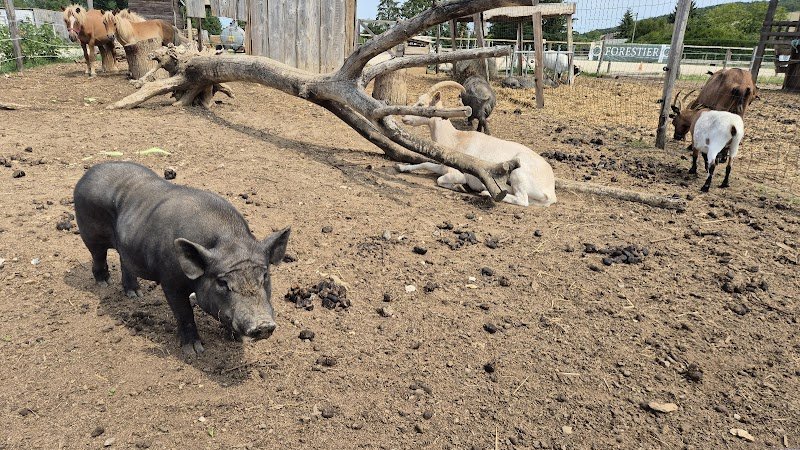 Ecuries d'Ires - photo 2