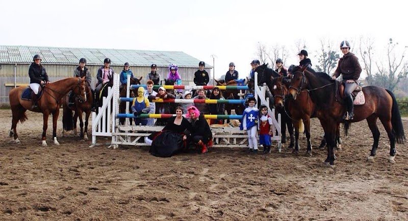 Ecurie Du Verlin devient L'Ecurie des L - photo 2