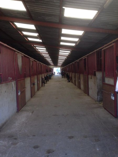 Ecurie Du Verlin devient L'Ecurie des L - photo 3