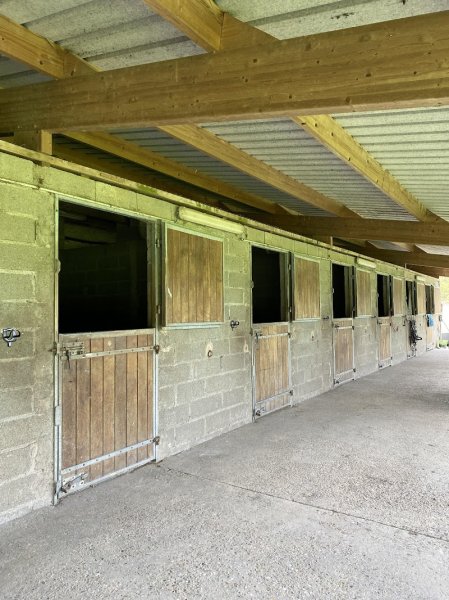 Ecurie D'Alb - photo 2