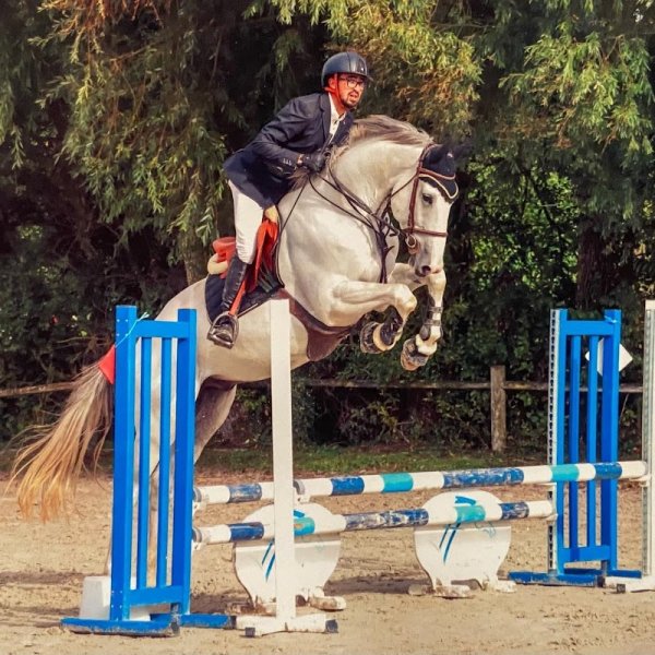 Écurie CBM - Sport Horses - photo 2
