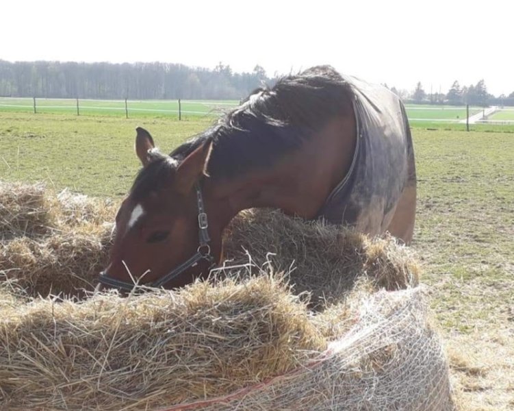 Aux Ecuries de Passy - photo 1