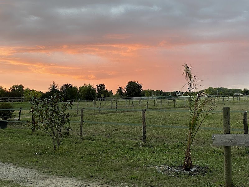 Les Écuries d'Harmony - photo 2