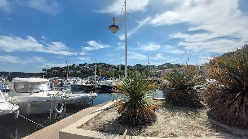 Poney Club des Hauts Prés - photo 2