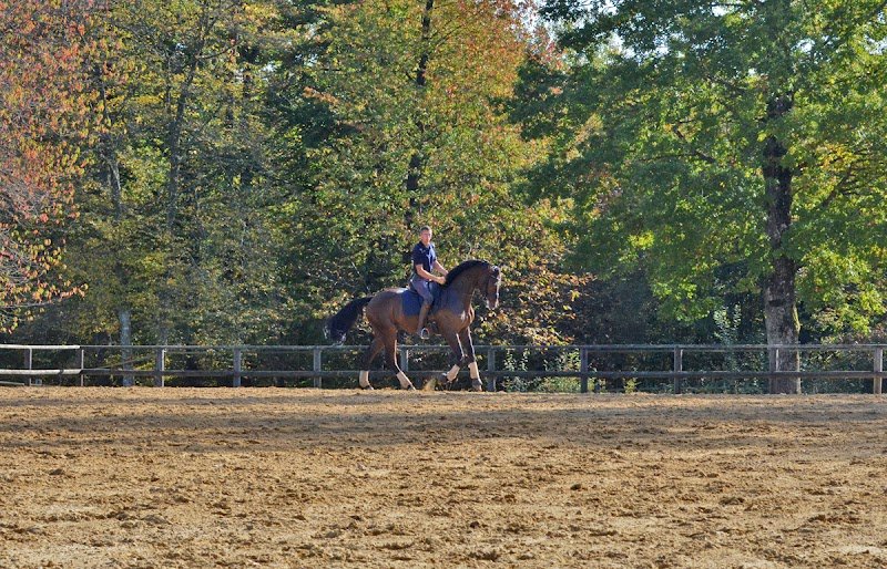 Ecurie Nicolas Brodziak - photo 3