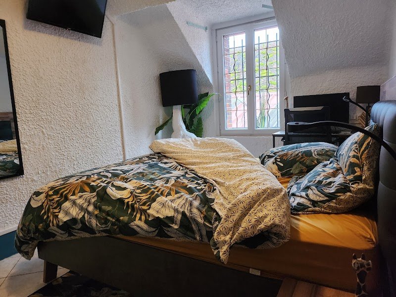 Oasis Horse Country (hébergements en chambres) - photo 2