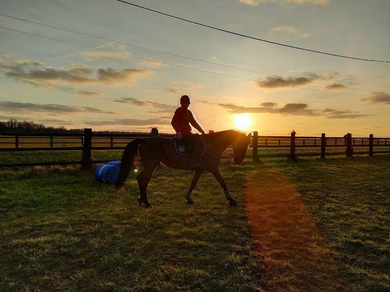 Écurie Anas-Etienne Boujeglat - photo 1