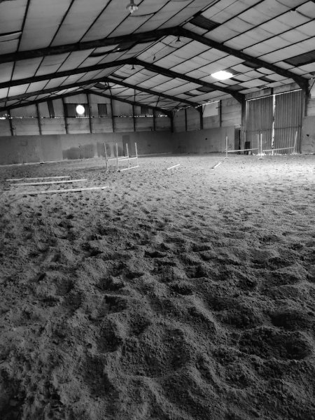 Écurie Anas-Etienne Boujeglat - photo 2