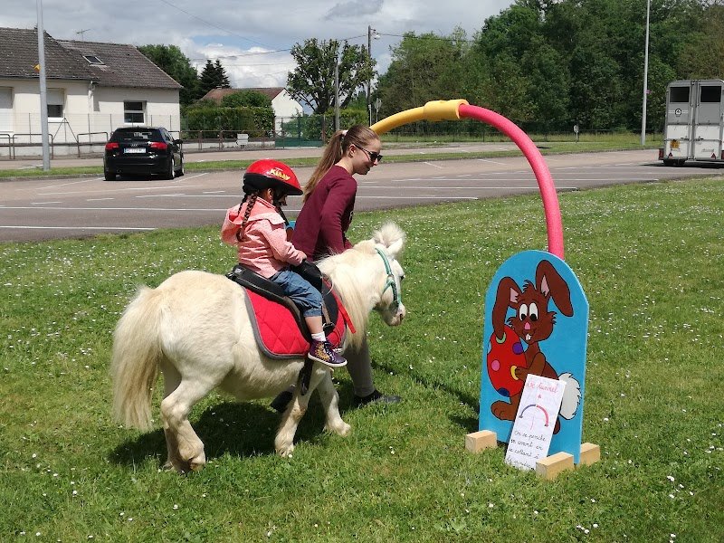 Ferme Equestre de Pesteau - photo 2