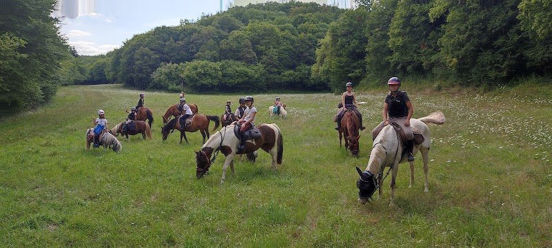 Ferme Equestre de Pesteau - photo 3
