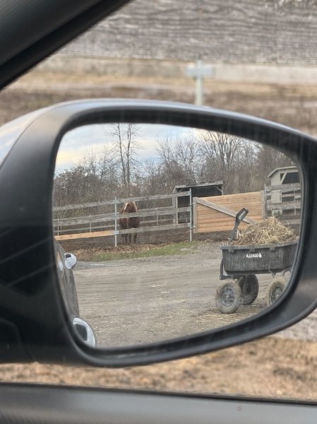 Centre Équestre Val-d'Espoir - photo 1