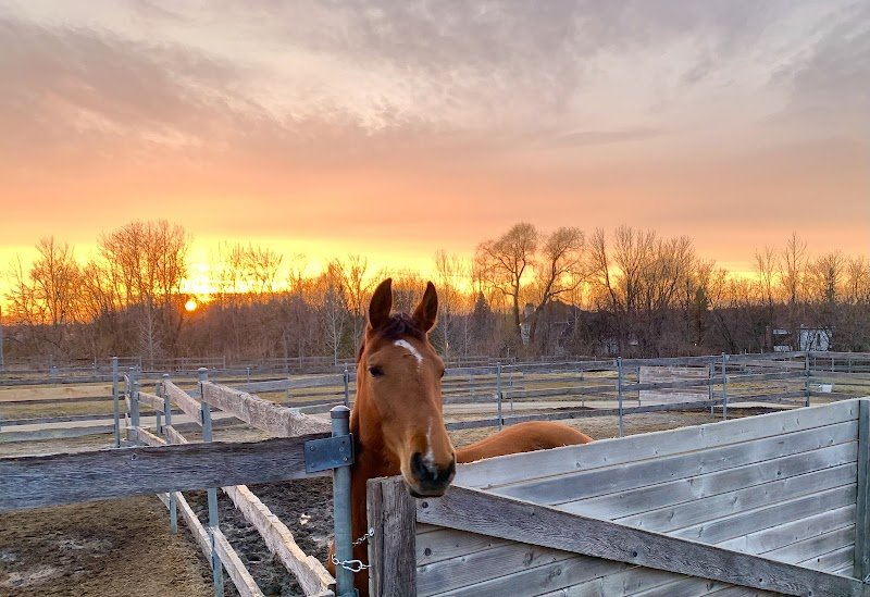 Centre Équestre Val-d'Espoir - photo 2