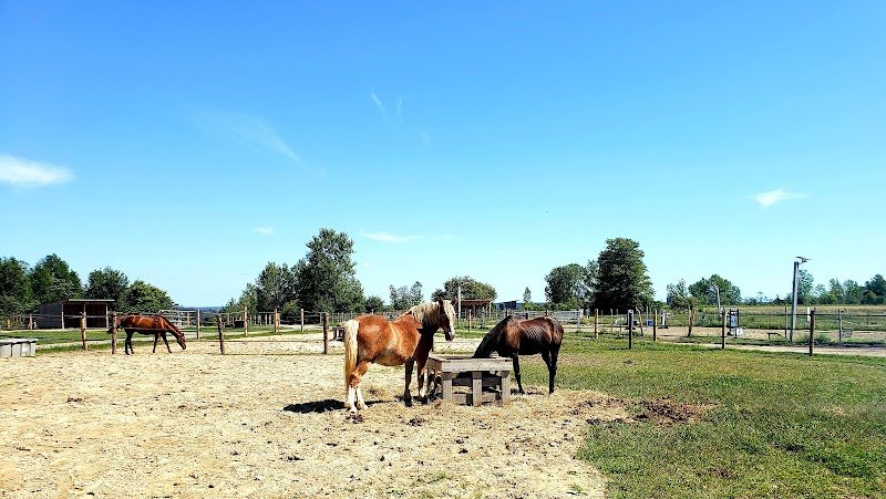 L'Écurie Colibri - photo 3