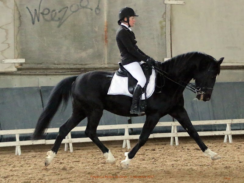 Ecuries Des Walkyries - photo 3