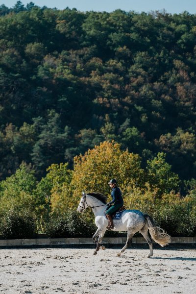 Ecuries Lalande Laborie - photo 1