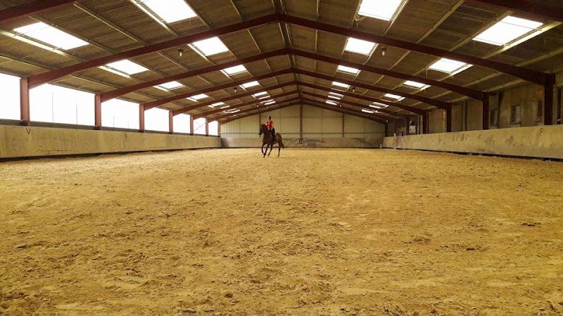 EARL les Ecuries de la Borde - Poney Club - pension chevaux de propriétaires - élevage - SAUMUR - photo 3