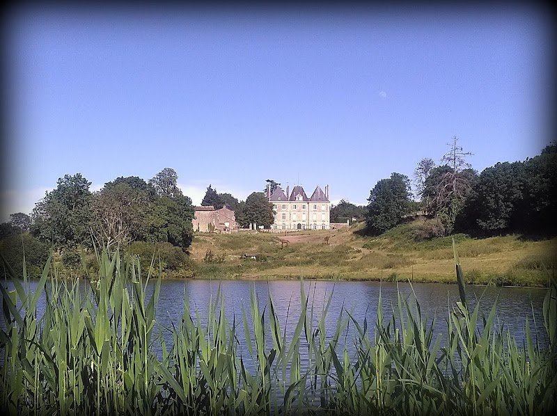 Ecuries du Luc - Pensions chevaux - photo 3