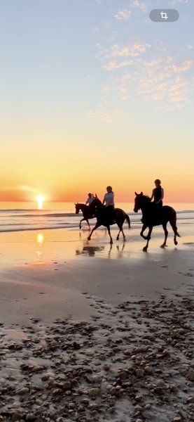 Les Écuries de l’Ilot - photo 2