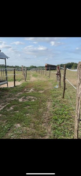 Les Écuries de l’Ilot - photo 3