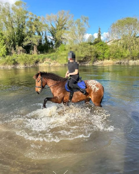 Ecurie Equi-nature'RL - photo 2
