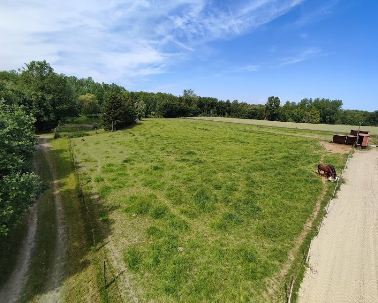 Écurie SAND'GEO - photo 2