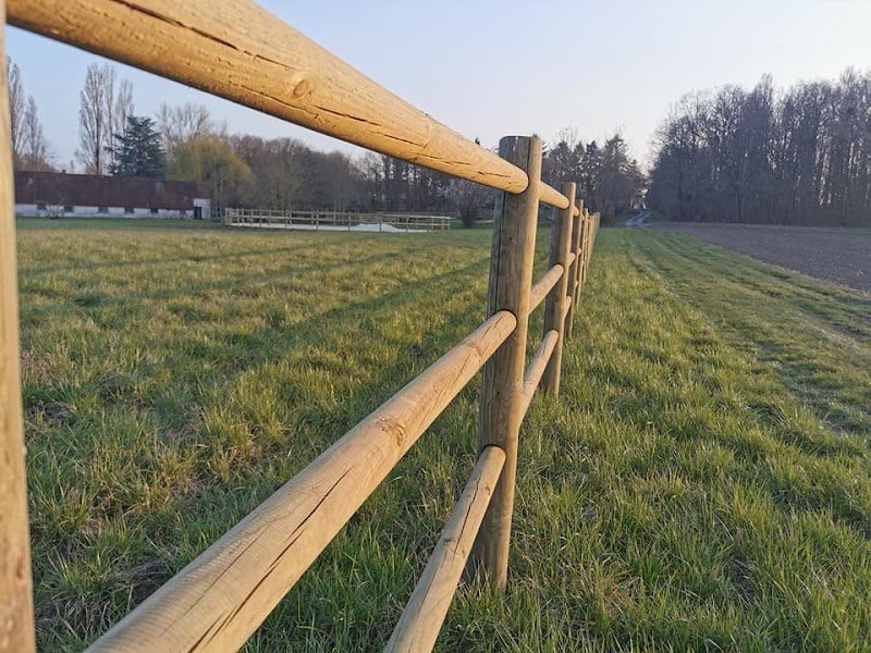 Virginie Letaconnoux Rival'Horse - photo 3