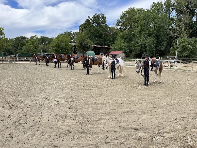 Ecurie de la Clairière, école d'équitation