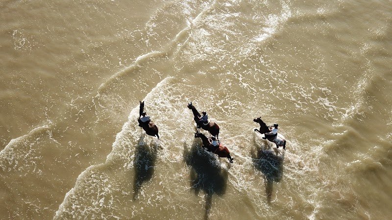 Ecurie de la Hurande - photo 1