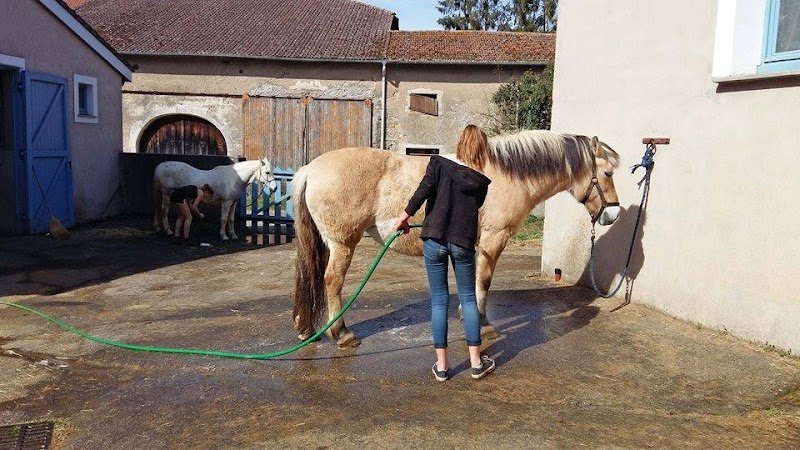 Haras de la Colline, Pension pour chevaux - photo 1