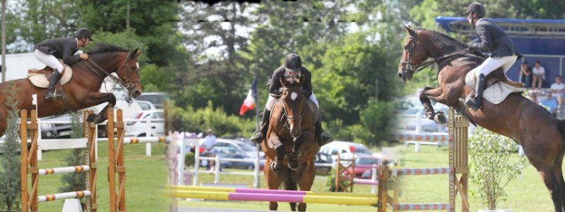 Ecurie Florent Kerzil - photo 1