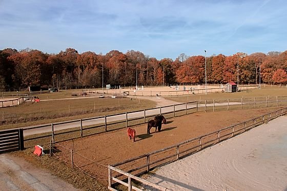 Les Écuries de Bois d'Arcy - photo 3