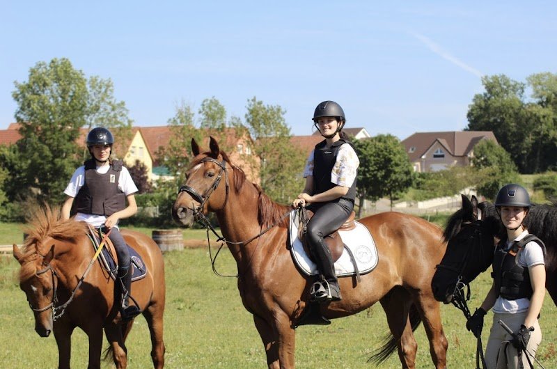 Centre Hippique du Territoire de Belfort - photo 2