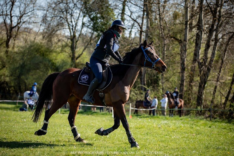 Cavaliers Randonneurs Beaucourtois - photo 1