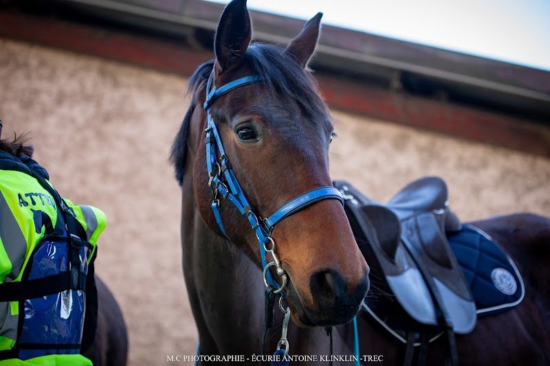 Cavaliers Randonneurs Beaucourtois - photo 3