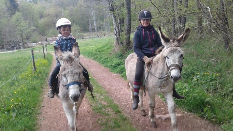Ferme Équestre De La Forge - photo 2