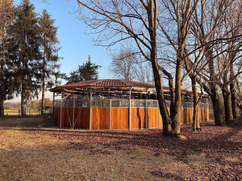 Ecurie Aux Sources d'Apolline - photo 2