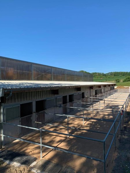 Ecurie Aux Sources d'Apolline - photo 3