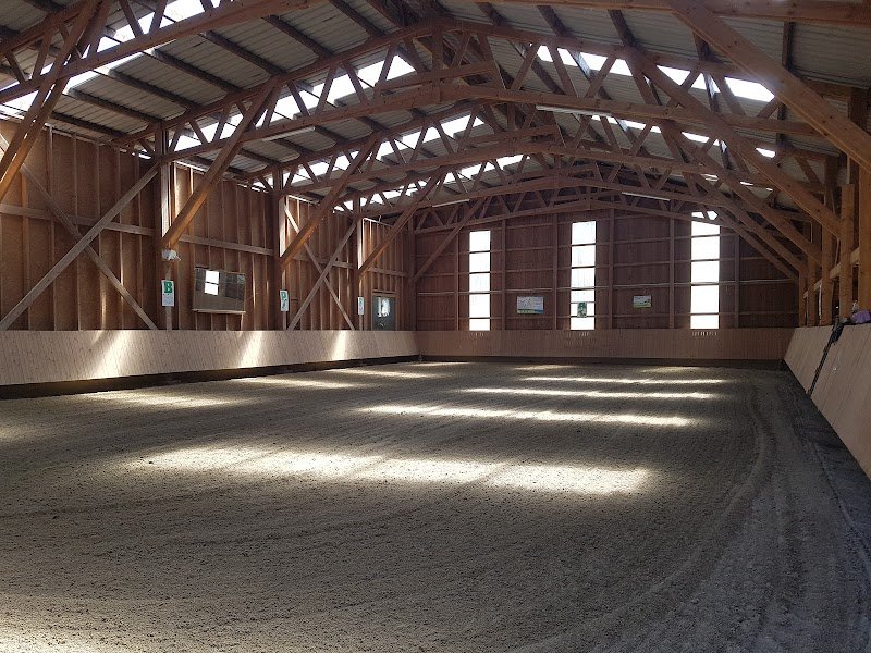 Poney Club de la Porte d'Alsace - photo 2