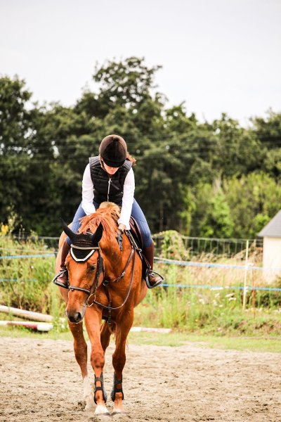 Écurie du domaine - photo 2