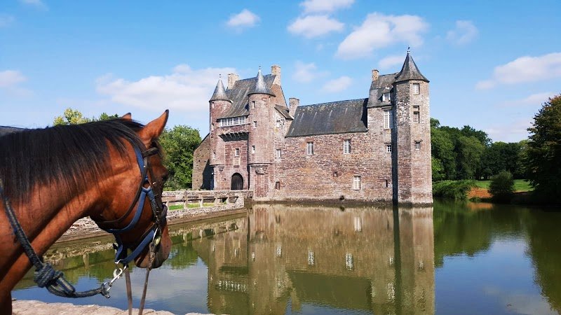 Ecuries de Kerviolo, centre équestre,pension sport et loisir /guide randonnée Brocéliande - photo 3