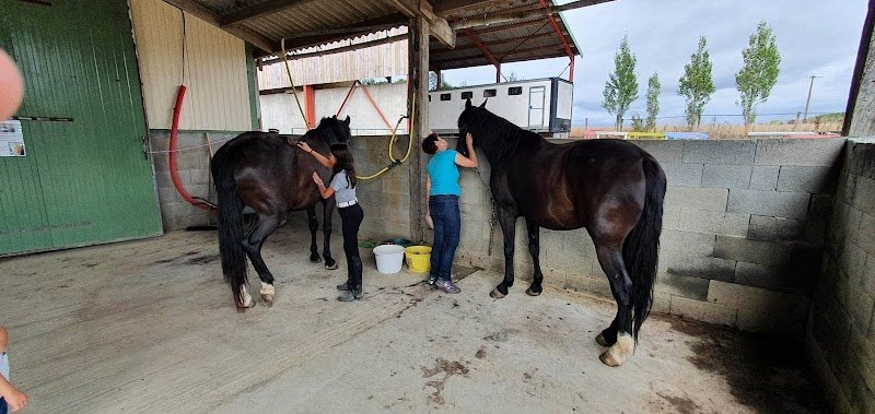 Les Ecuries d'Ydill pensions - photo 1