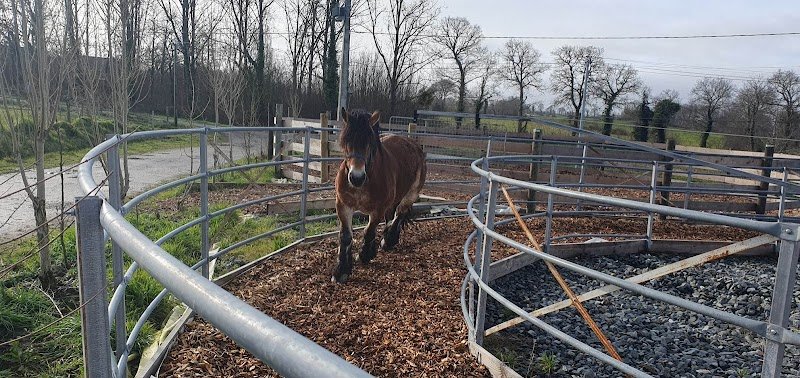 Les Ecuries d'Ydill pensions - photo 3