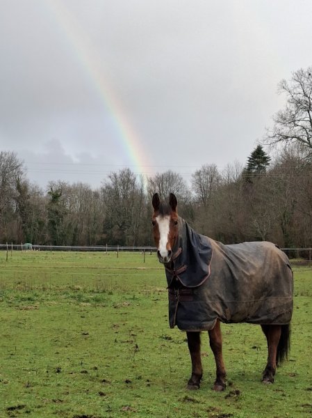 Les écuries d’Automne (Plomelin)