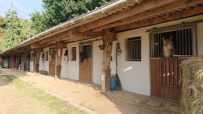 Ecurie Pont-Quellec - photo 3