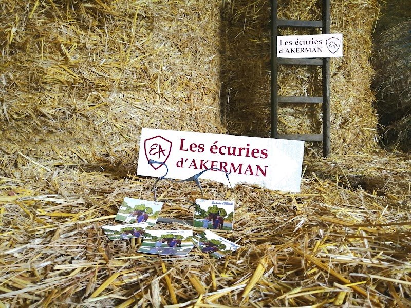 Les Ecuries d'Akerman - Pension pour chevaux Morbihan - photo 1